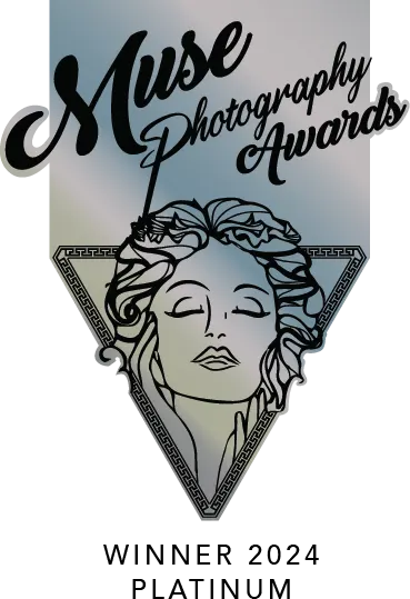 Echoes of Defiance award badge 2