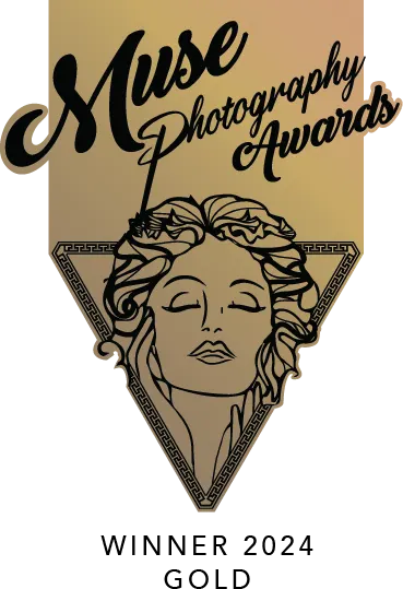 Echoes of Defiance award badge 3