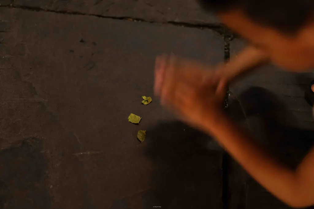 Blurred hand reaches toward small leaf pieces on dark pavement at night.