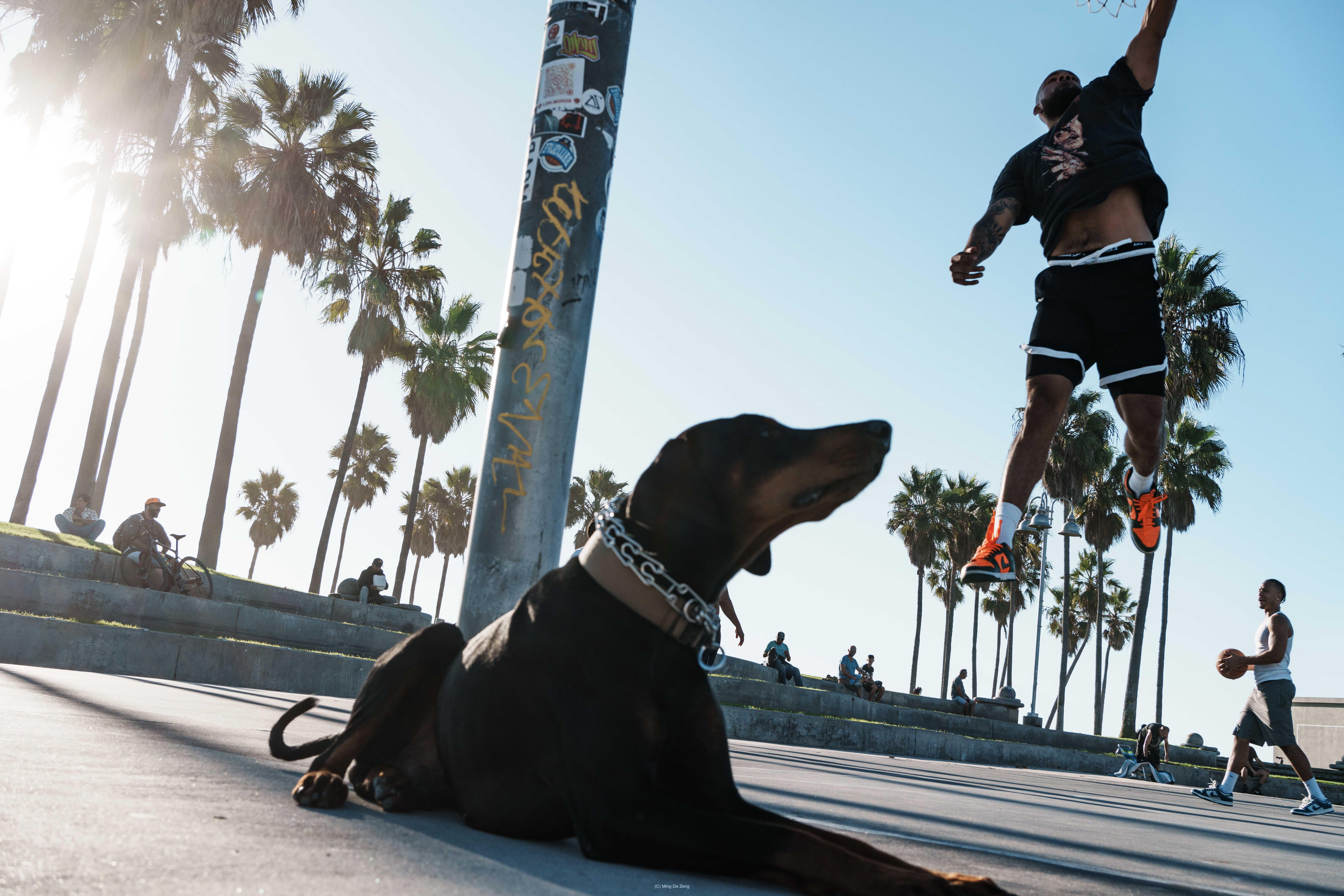 一起做梦 — 街头摄影 — 城市街头照片 3 — 一组关于擦肩而过的陌生人、脆弱连接与公共生活情绪残留的城市影像。