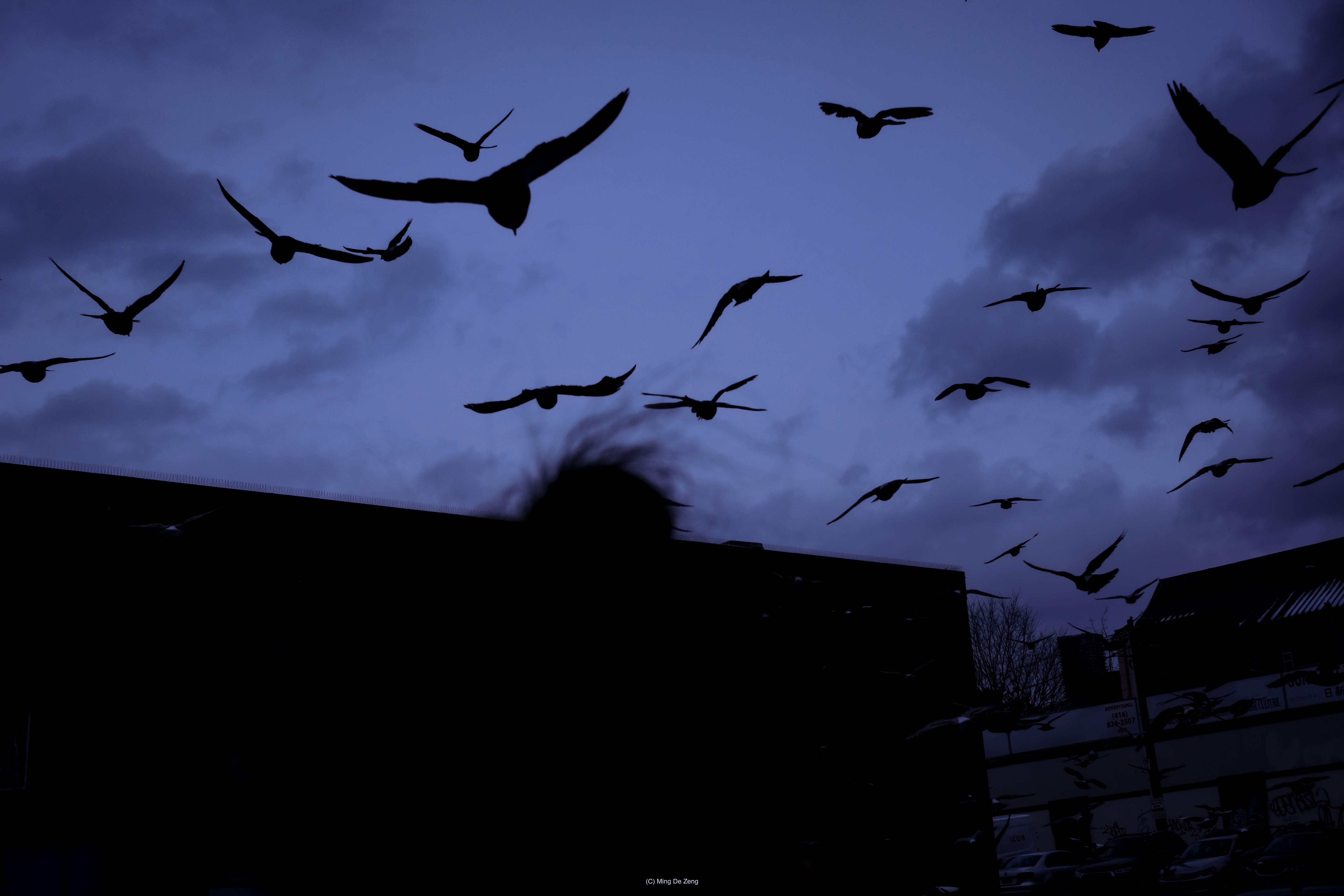 一起做梦 — 街头摄影 — 城市街头照片 18 — 一组关于擦肩而过的陌生人、脆弱连接与公共生活情绪残留的城市影像。