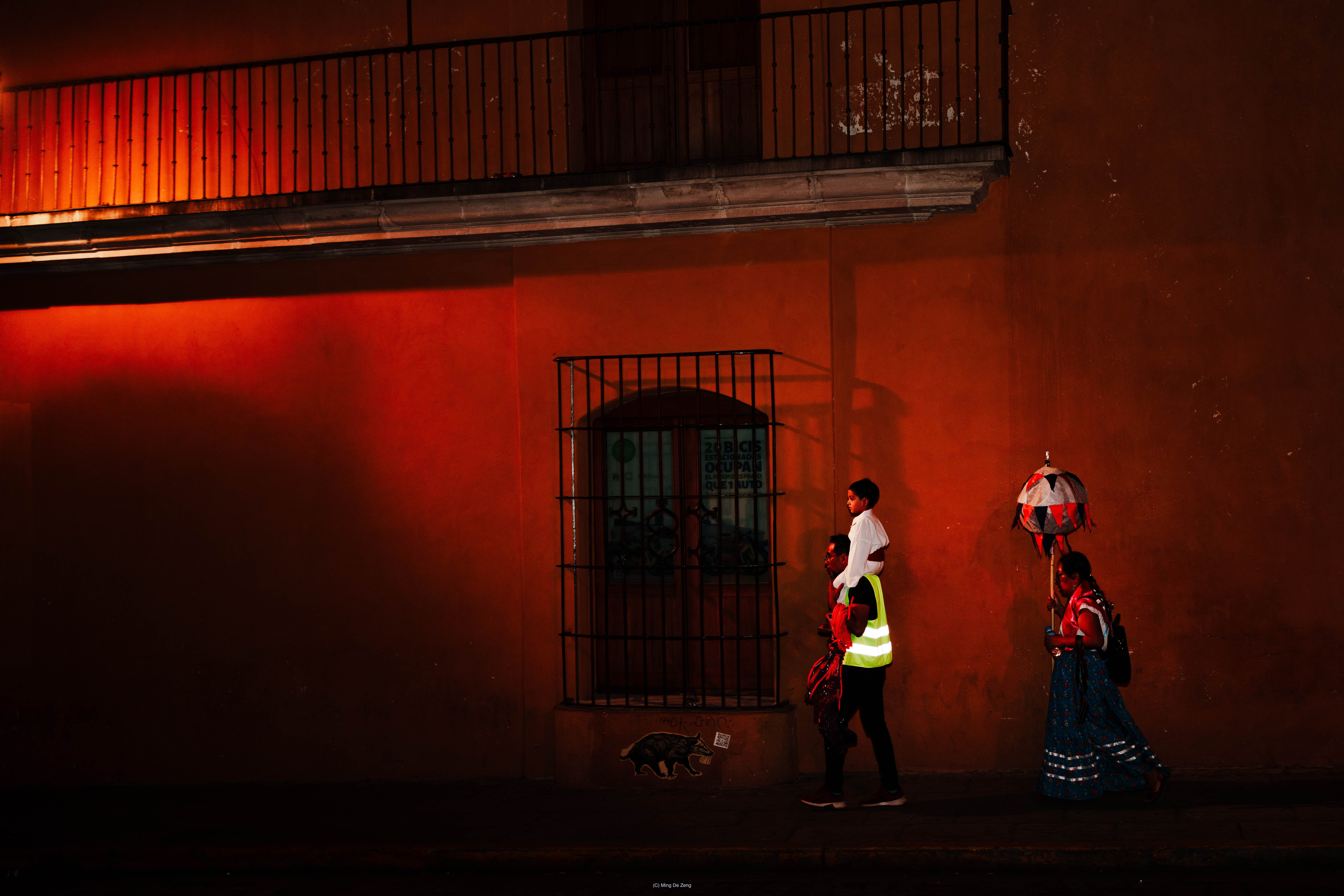 百鬼夜行 — 摄影系列 — 夜间仪式照片 8 — 一组夜间影像，将东亚的鬼怪想象与瓦哈卡对死亡的庆典式相遇并置。