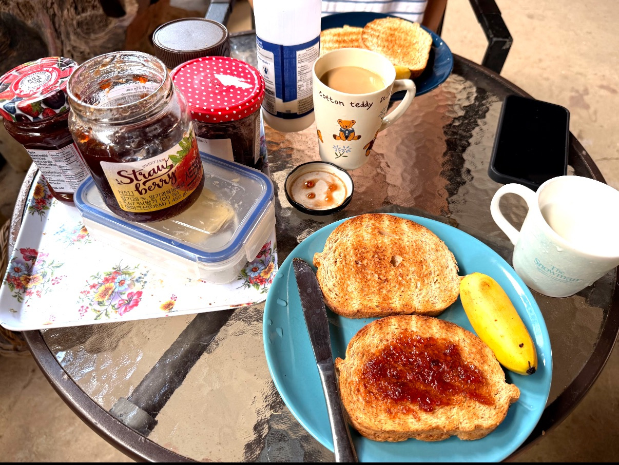 手机先吃 — 文章与照片序列 — 《手机先吃》中的一张手机食物照片，与 MT 关于食欲、仪式与具身经验的文章并置出现。